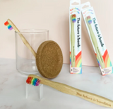 Biodegradable Adult Toothbrush