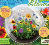 Wildflowers Glass Terrarium