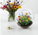 Wildflowers Glass Terrarium