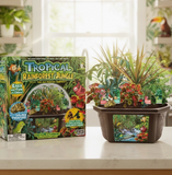 Tropical Rainforest Jungle Biosphere Terrarium