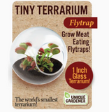 Tiny Terrarium Carnivorous Glass Terrarium