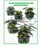 Dinosaur Domain Biosphere Prehistoric Plant Terrarium
