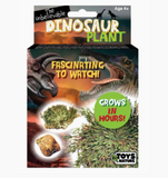 Dinosaur Plant- the Amazing Plant that Grows in Hours