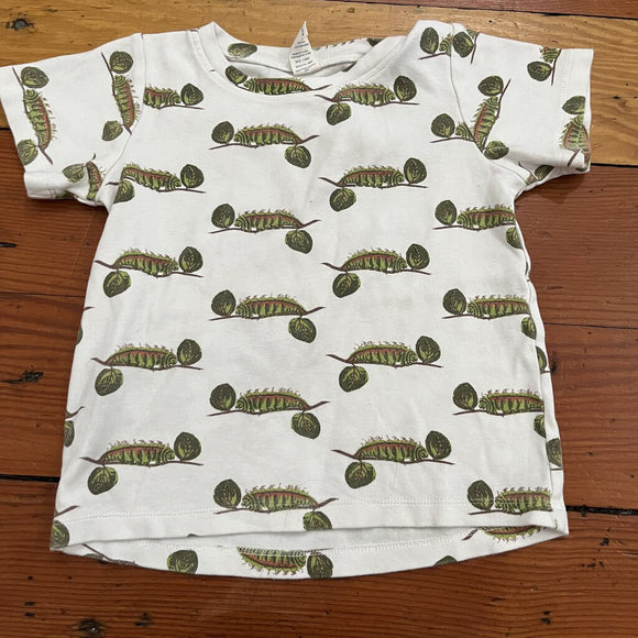 Organic Shirt - 4T