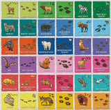 Jr Ranger - Animal Tracks Matching Game