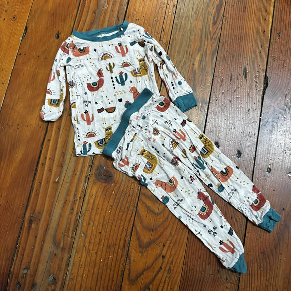 Bamboo Pjs - 12-18M