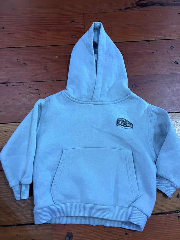 Pullover hoodie - 12-18M