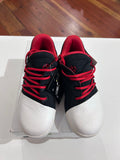 Harden Basketball shoes NWT - 13K