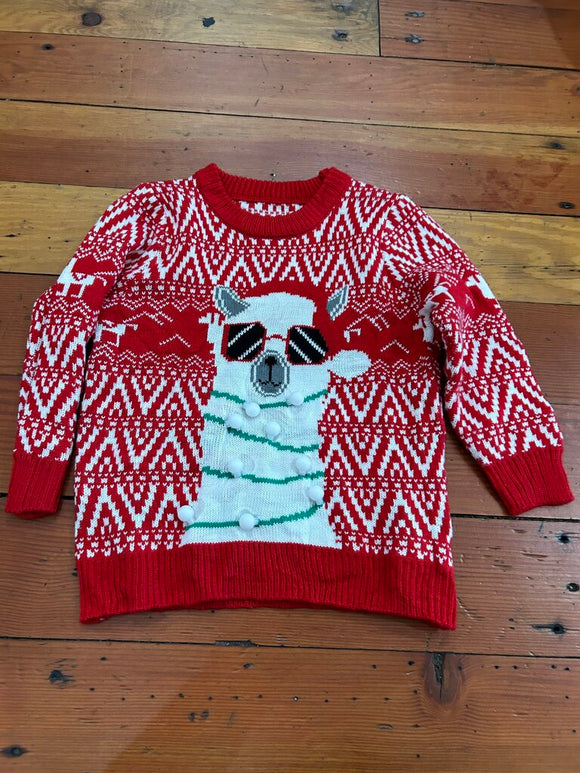 Holiday Sweater - does not light up - L (approx 6-8)