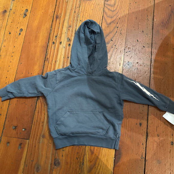 Hoodie - 2T