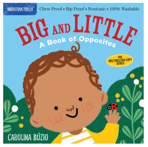 Indestructibles: Big and Little: A Book of Opposites