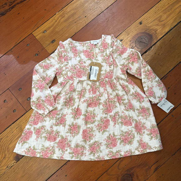 Dress - 2T - NWT - retail $46